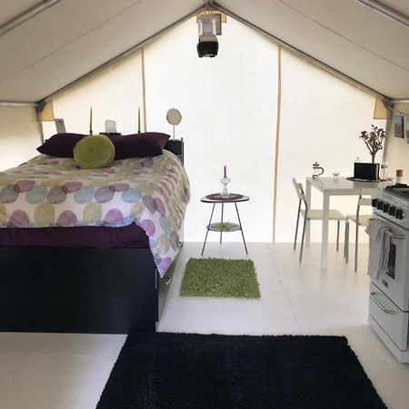 Vines And Puppies Glamping Hideaway Hotel Jade City Exterior photo