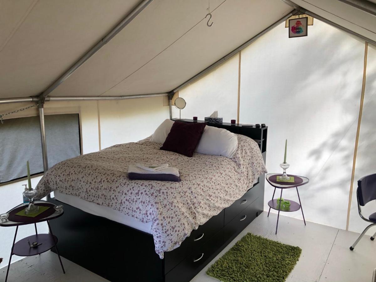 Vines And Puppies Glamping Hideaway Hotel Jade City Exterior photo